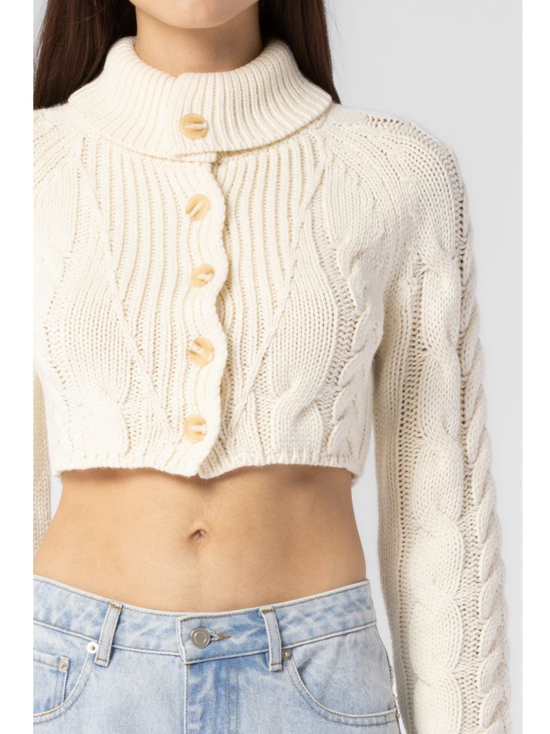 Twist Knitted Button Down Turtle Neck Sweater