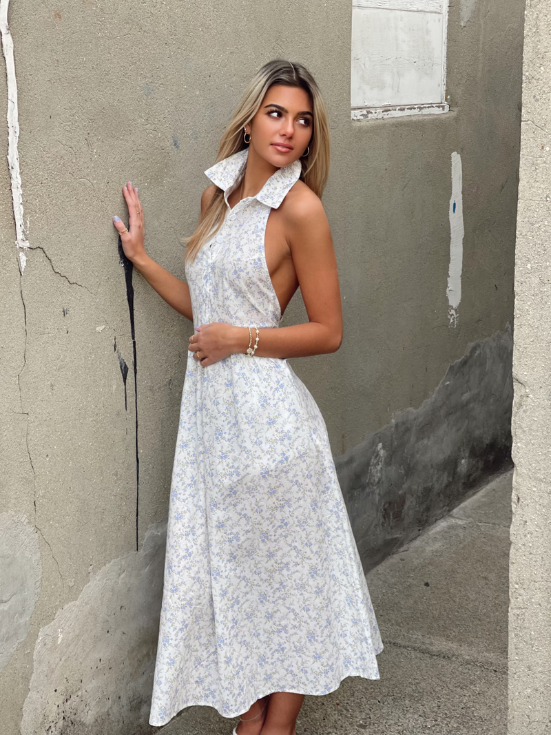 Button Up Collared Maxi Dress